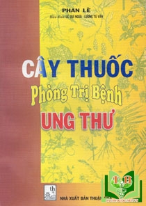 Không có ảnh